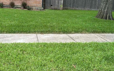 Photo of Kaighlen C.'s yard after getting lawn care in Vidor, TX