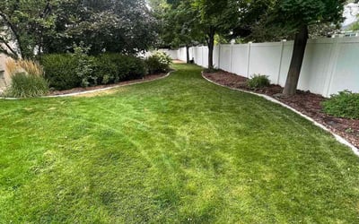 Photo of Mason C.'s yard after getting lawn care in Highland, UT