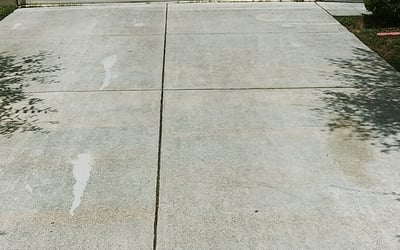 Photo of Paul J.'s yard after getting tree care in Newburgh, NY