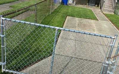 Photo of David H.'s yard after getting lawn care in Baltimore, MD