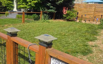 Photo of Jemps S.'s yard after getting lawn care in Middletown, NY