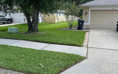 Photo of Jesse W.'s yard after getting lawn care in Oldsmar, FL