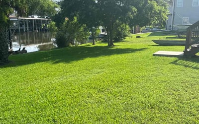 Photo of Kathy W.'s yard after getting lawn care in Harrisburg, PA