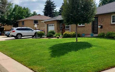 Photo of Jennifer H.'s yard after getting lawn care in Wheat Ridge, CO