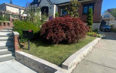 Photo of Teresa A.'s yard after getting lawn care in Astoria, NY