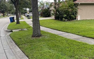 Photo of Eric F.'s yard after getting lawn care in Manahawkin, NJ