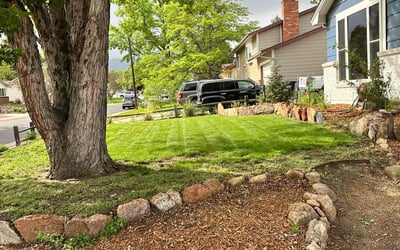 Photo of Michelle C.'s yard after getting lawn care in Hyattsville, MD
