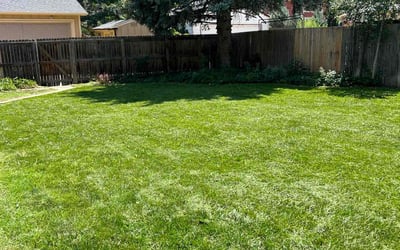 Photo of Jeffrey W.'s yard after getting lawn care in Northborough, MA