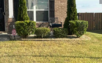 Photo of Taiei E.'s yard after getting lawn care in New Milford, NJ