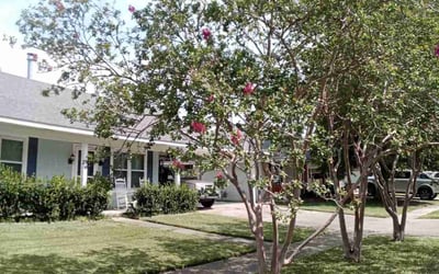 Photo of Aaron d.'s yard after getting lawn care in Thibodaux, LA