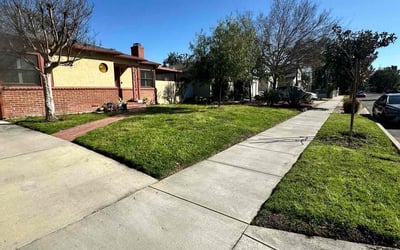 Photo of Diane H.'s yard after getting lawn care in Sherman Oaks, CA