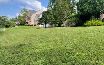 Photo of Robert B.'s yard after getting lawn care in Commerce City, CO