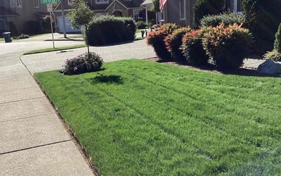 Photo of Benjamin D.'s yard after getting lawn care in Monroe, WA