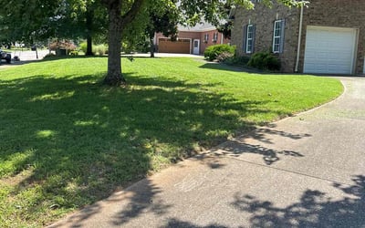 Photo of Priscilla A.'s yard after getting lawn care in Mount Pleasant, TN