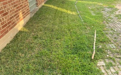 Photo of Tiffany H.'s yard after getting lawn care in Abingdon, MD