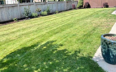 Photo of Jaymi A.'s yard after getting lawn care in Cheney, WA