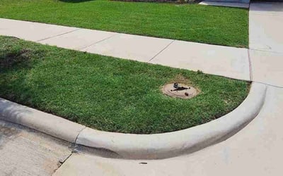 Photo of Christopher M.'s yard after getting lawn care in Mineola, NY