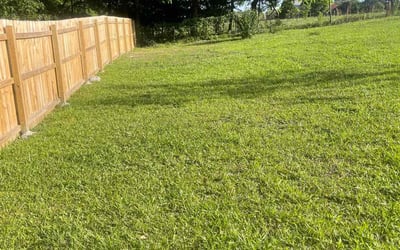 Photo of Judie D.'s yard after getting lawn care in Franklinton, NC