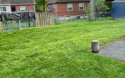 Photo of Jamie W.'s yard after getting lawn care in Cincinnati, OH