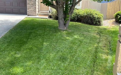 Photo of Jimmy S.'s yard after getting lawn care in Louisville, CO