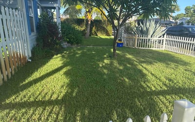Photo of Donna M.'s yard after getting lawn care in Raleigh, NC