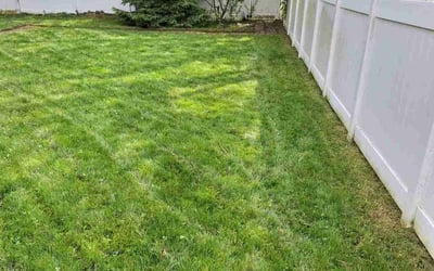 Photo of Barbara D.'s yard after getting lawn care in Exton, PA