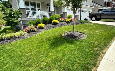 Photo of Joslynn C.'s yard after getting lawn care in Mc Donald, PA