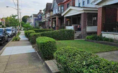 Photo of Barbara C.'s yard after getting lawn care in Cranberry Twp, PA