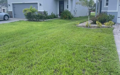 Photo of Deana D.'s yard after getting lawn care in Monument, CO