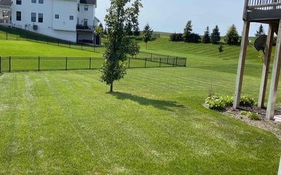Photo of Carri C.'s yard after getting lawn care in Saint Michael, MN
