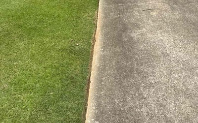 Photo of Jess A.'s yard after getting lawn care in Greenville, SC