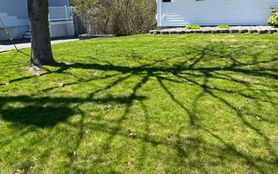 Photo of Jenna B.'s yard after getting lawn care in Manchester, NH
