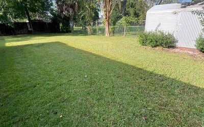 Photo of John C.'s yard after getting lawn care in Monticello, FL