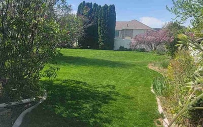 Photo of Christopher M.'s yard after getting lawn care in Syracuse, UT
