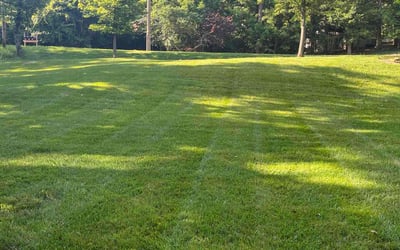 Photo of Dolores F.'s yard after getting lawn care in Sardinia, OH
