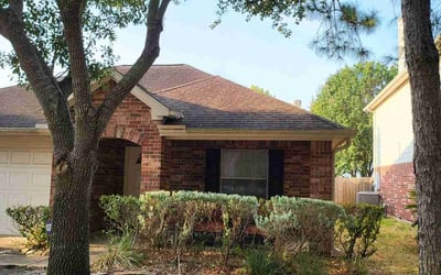 Photo of Katherine U.'s yard after getting tree care in Ruskin, FL