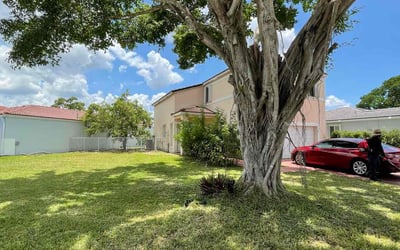 Photo of Susan L.'s yard after getting lawn care in Summerfield, FL