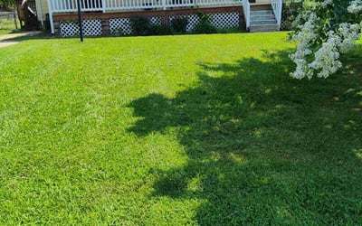 Photo of Andre C.'s yard after getting lawn care in Prince George, VA