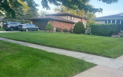 Photo of Merrick W.'s yard after getting lawn care in Boulder Hill, IL