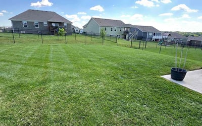 Photo of Chris G.'s yard after getting lawn care in Salem, IN