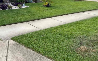 Photo of John S.'s yard after getting lawn care in Foley, AL