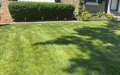 Photo of Susie T.'s yard after getting lawn care in Melrose Park, IL