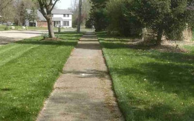 Photo of Luis G.'s yard after getting lawn care in Fairview Park, OH