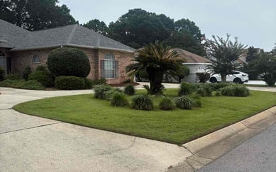 Photo of Chris C.'s yard after getting lawn care in Four Corners, FL
