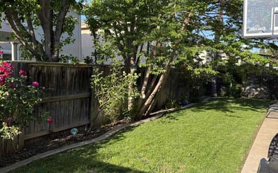 Photo of Jenny E.'s yard after getting lawn care in Stockton, CA
