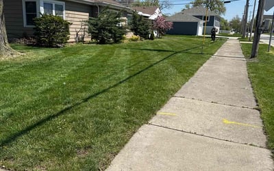Photo of Alison F.'s yard after getting lawn care in Rock Island, IL