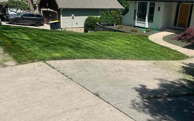 Photo of Matthew V.'s yard after getting lawn care in Moline, IL