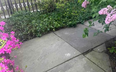 Photo of Srinivasarao U.'s yard after getting lawn care in Fremont, CA