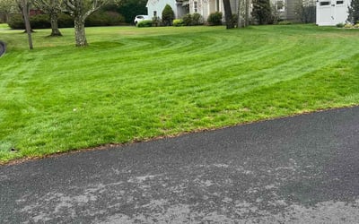 Photo of Luciano R.'s yard after getting lawn care in Mansfield Center, CT
