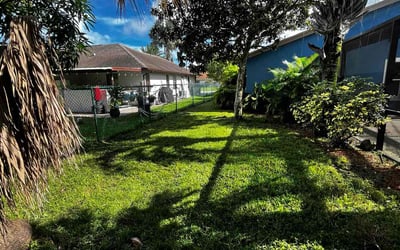 Photo of Crystal C.'s yard after getting lawn care in Fort Pierce, FL